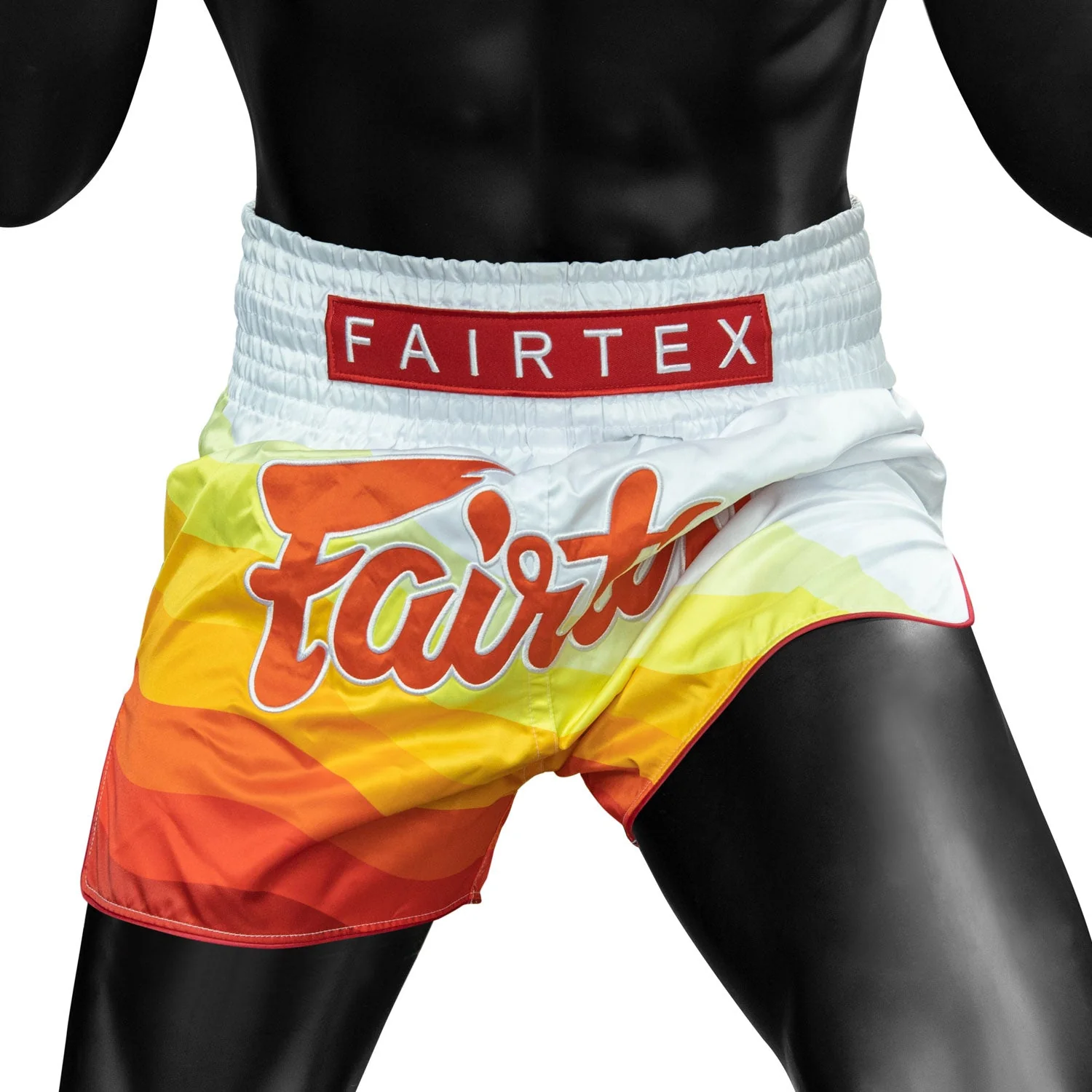 BS1932 Fairtex Spectrum Muaythai Shorts - Image 3
