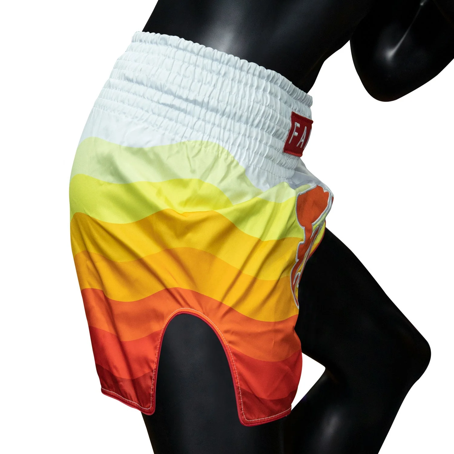 BS1932 Fairtex Spectrum Muaythai Shorts - Image 4