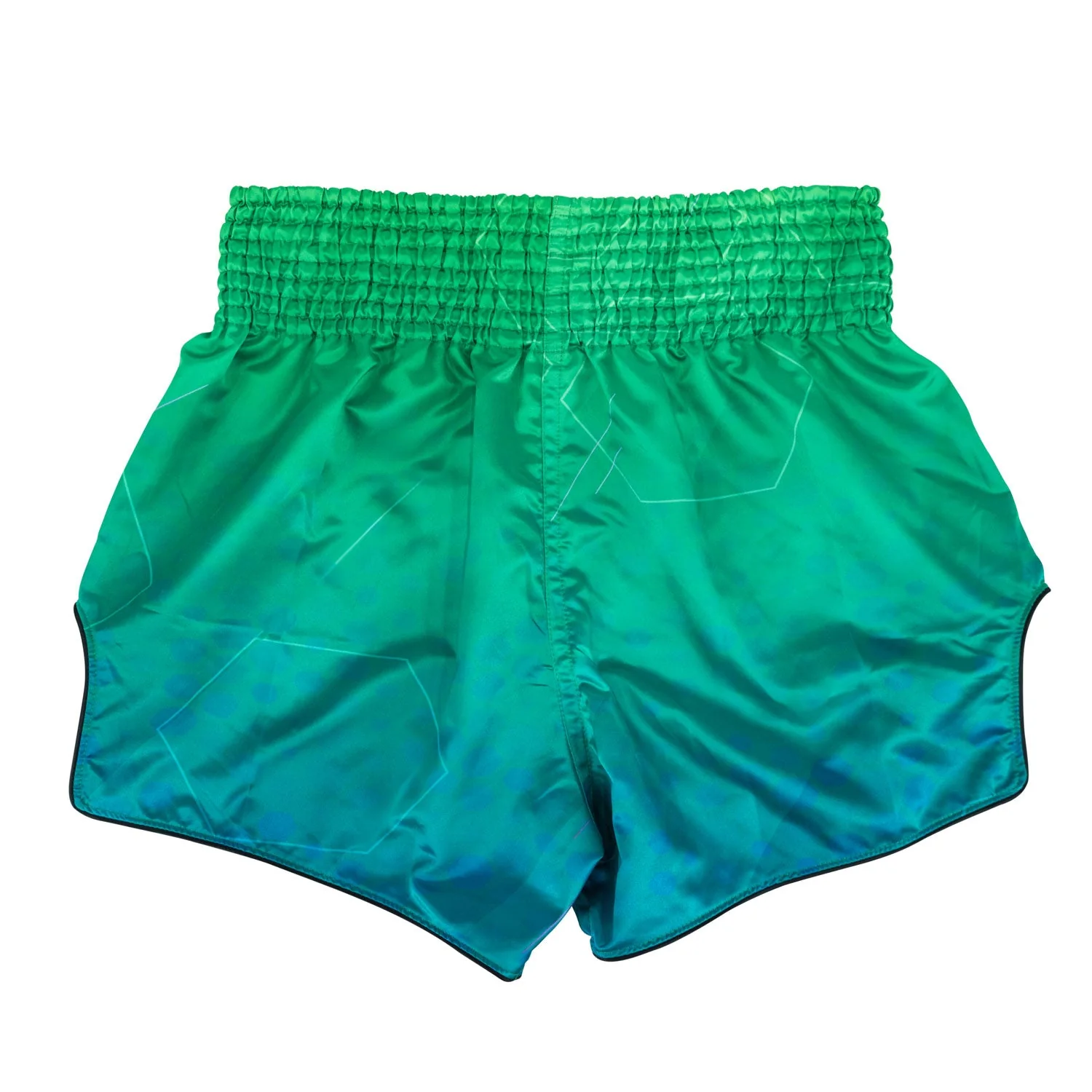 BS1953 Fairtex Quantum Muaythai Shorts - Image 2