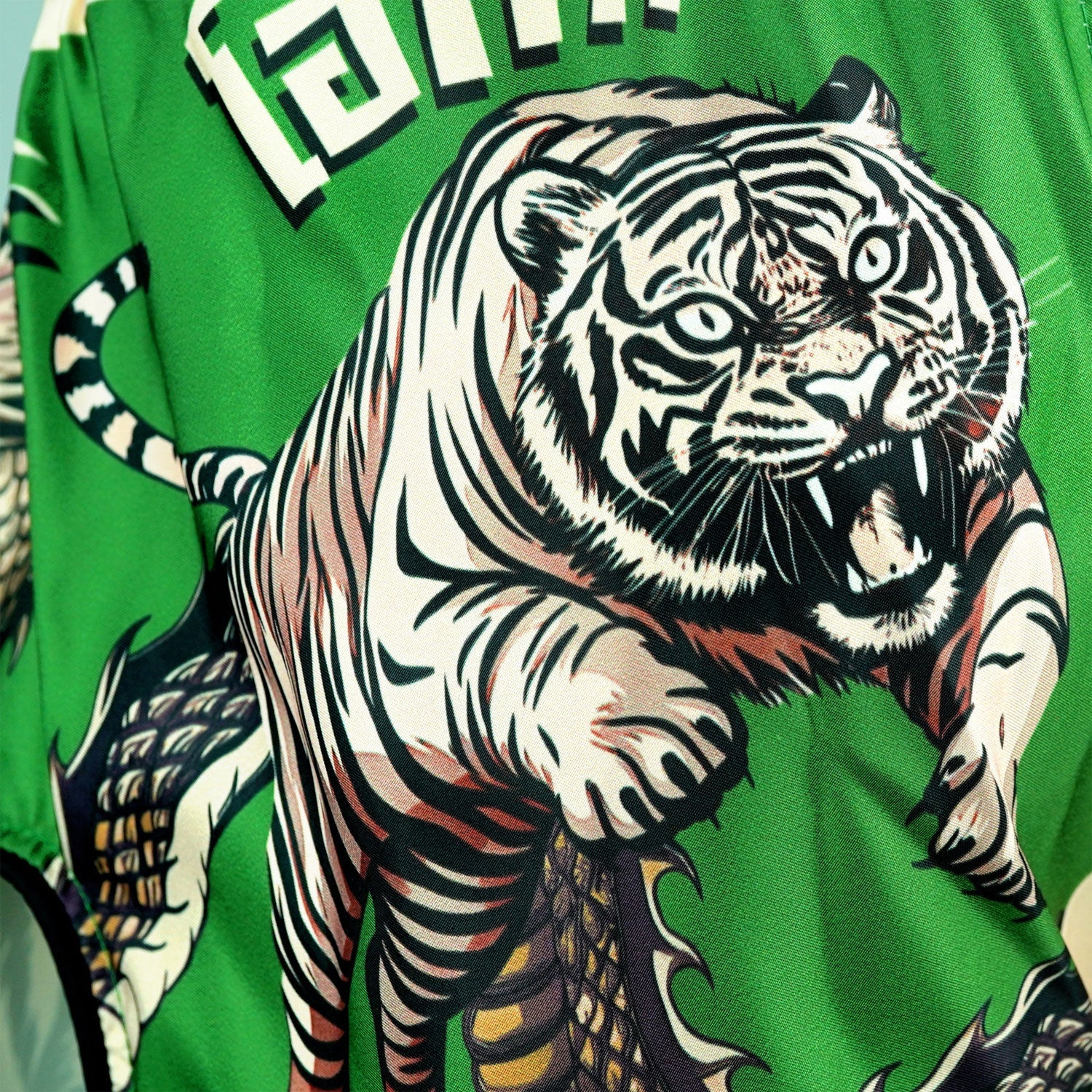 TUFF Payak Muay Thai Shorts - RMS010 - Claws of Glory - Image 5